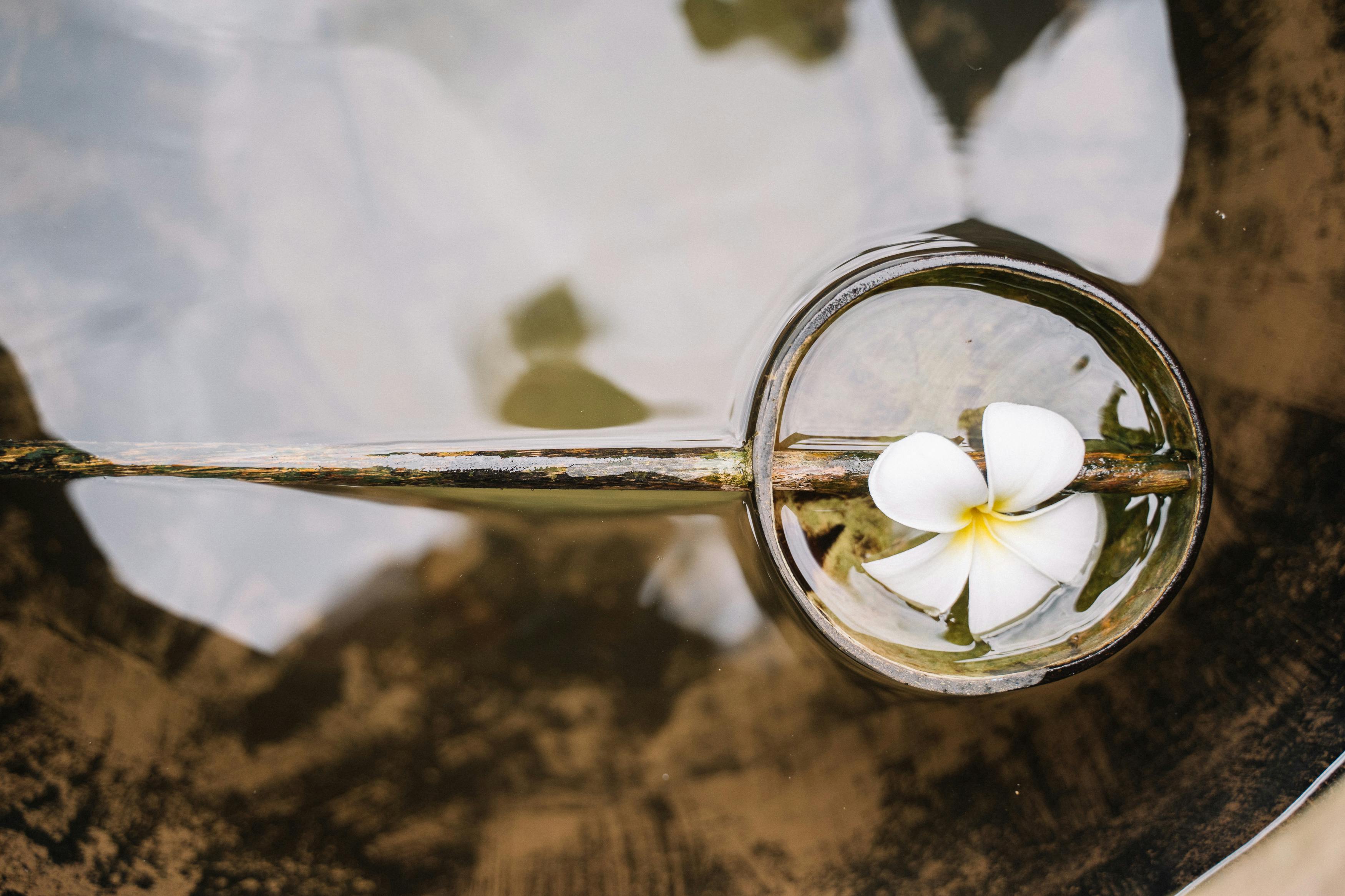 Serene spa setting with floating flower in water, representing the peaceful, restorative care provided by Vitality Concierge Nursing